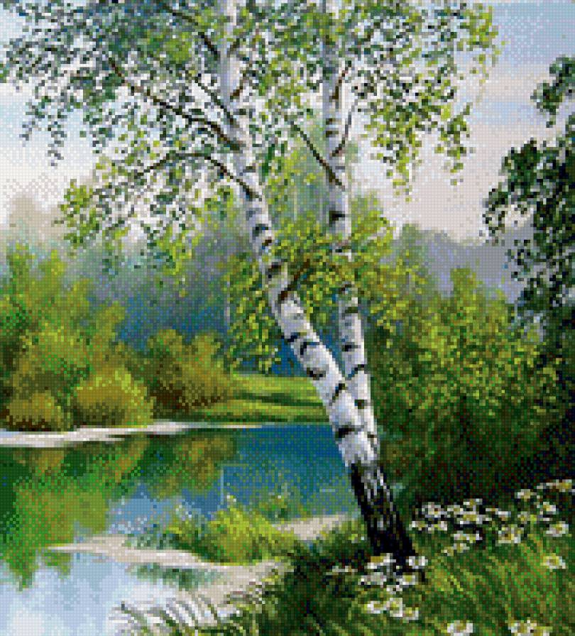 березы - озеро, березы, природа - предпросмотр