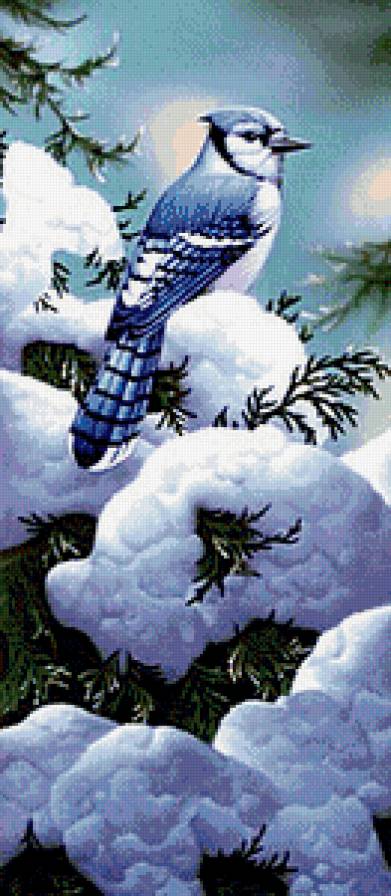 Птичка на ветке - птицы - предпросмотр