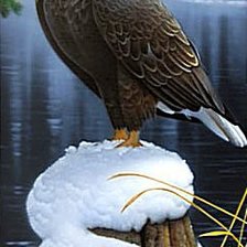 Схема вышивки «Орел»