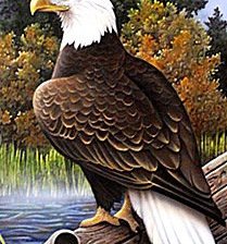 Схема вышивки «Орел»