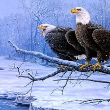 Схема вышивки «Орлы»