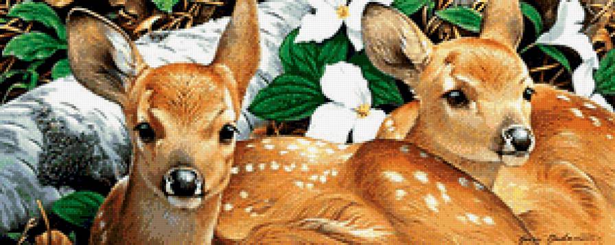 Оленята - детеныши, олени, животные, оленята - предпросмотр