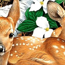 Схема вышивки «Оленята»