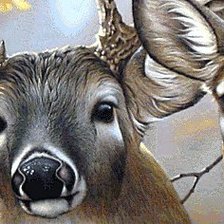 Схема вышивки «Олени»