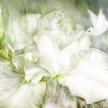 Схема вышивки «697165»