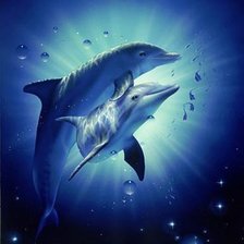 Схема вышивки «дельфи»