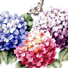 Схема вышивки «горт»