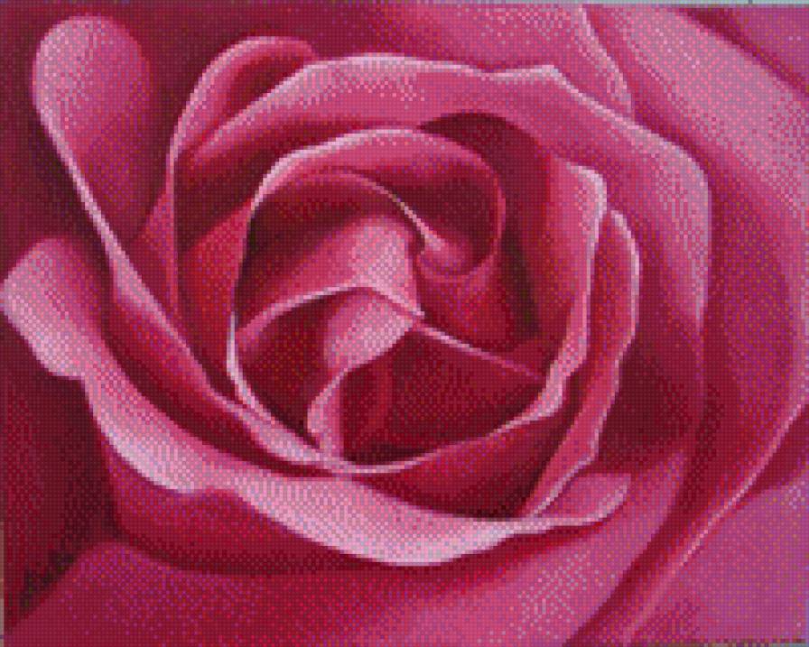 роза м - предпросмотр