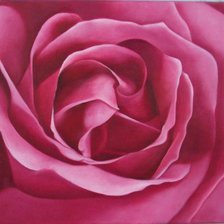 Схема вышивки «роза м»