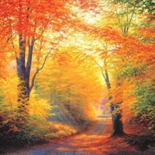 Схема вышивки «зол ос»