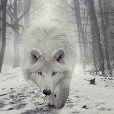 Схема вышивки «volk»