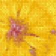 Предпросмотр схемы вышивки «чудо» (№581224)