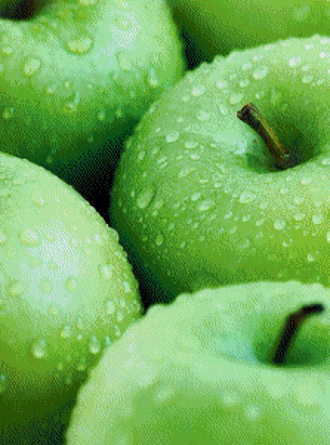 яблочки - фрукты, яблоки - предпросмотр