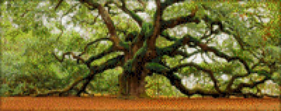 дерево2 - предпросмотр