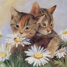 Схема вышивки «котята и ромашки»