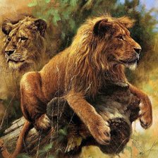 Схема вышивки «Львы»