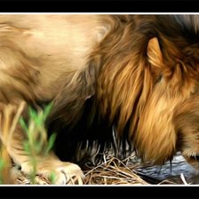 Схема вышивки «Лев»