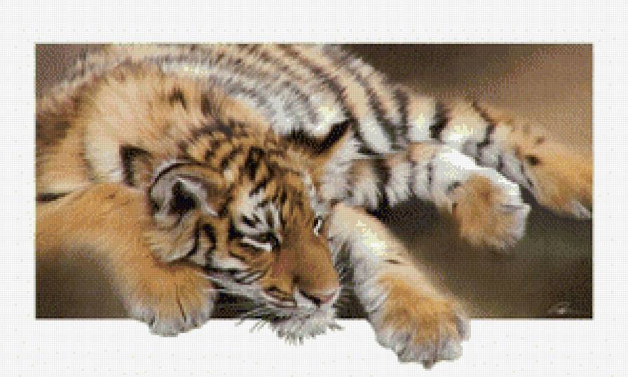 Тигренок - животные, дикие кошки - предпросмотр