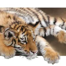 Схема вышивки «Тигренок»