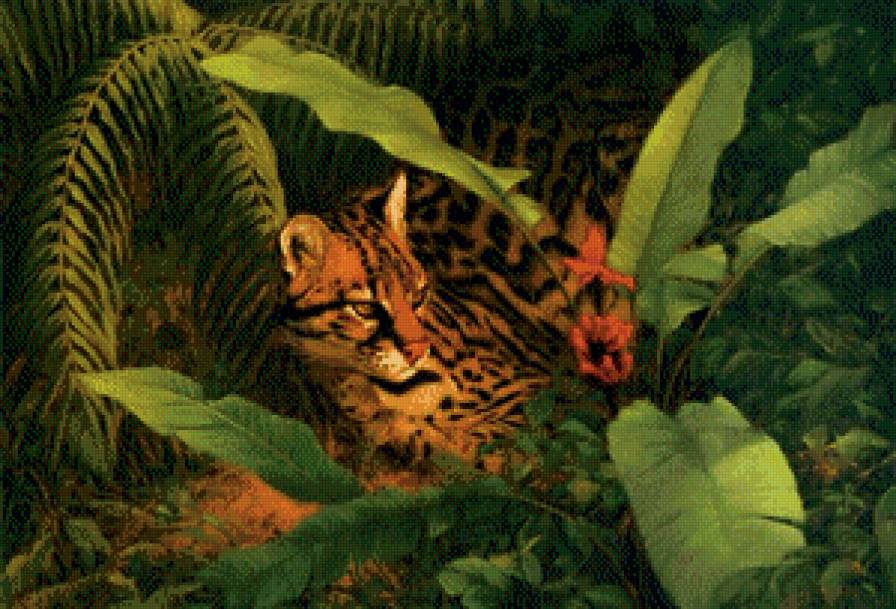 Дикие кошки - дикие кошки, животные - предпросмотр