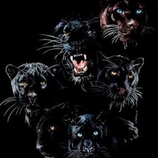 Схема вышивки «Дикие кошки»