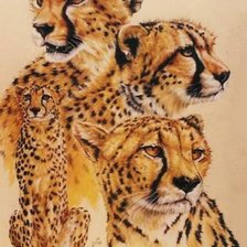 Схема вышивки «Гепард»