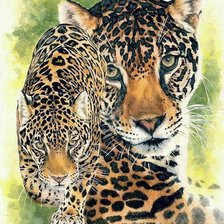 Схема вышивки «Леопард»