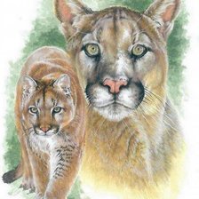 Схема вышивки «Пумы»