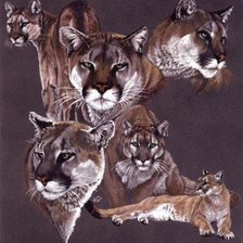 Схема вышивки «Пума»