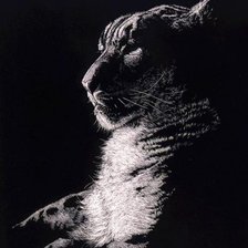 Схема вышивки «Тигр»