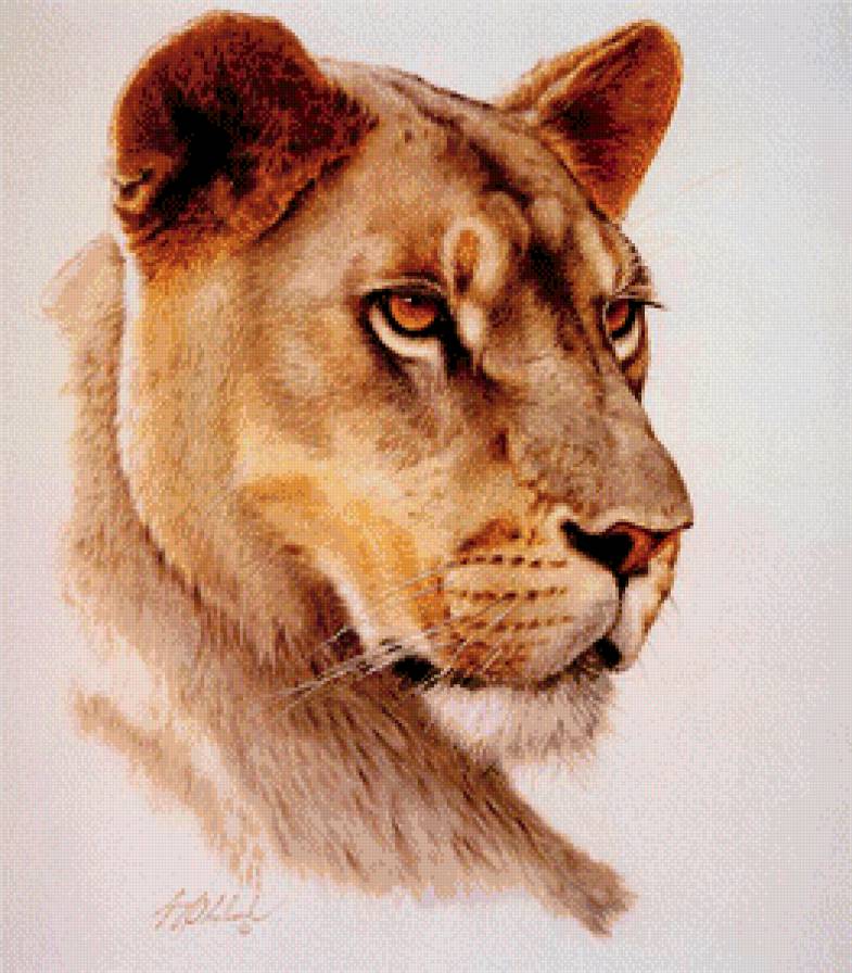 Царица - дикие кошки, животные - предпросмотр