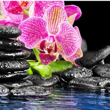 Схема вышивки «орхидея»