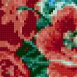 Предпросмотр схемы вышивки «маки» (№581600)