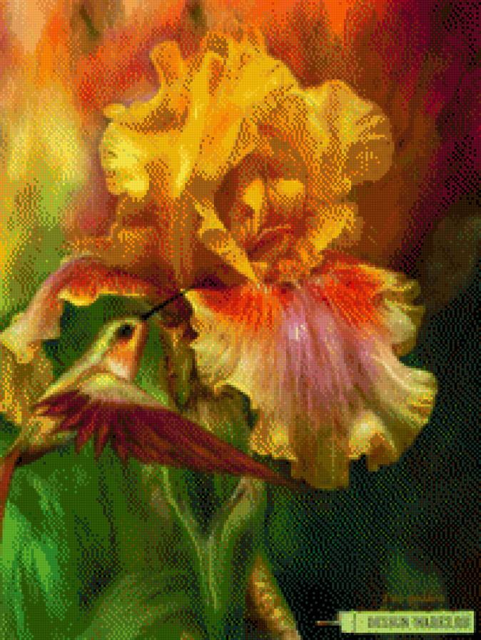 В гармонии с природой - природа, ирис, птичка - предпросмотр