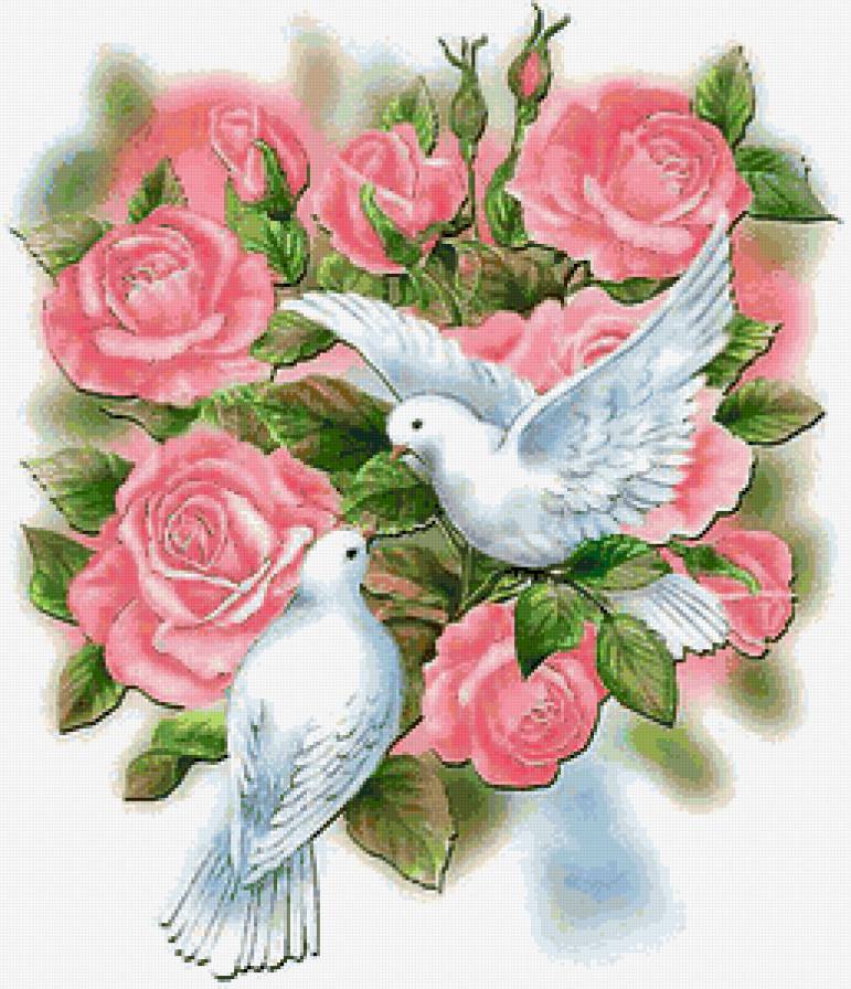 голуби в розах - голуби, розы - предпросмотр
