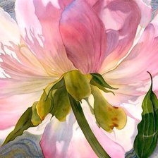 Схема вышивки «пион»