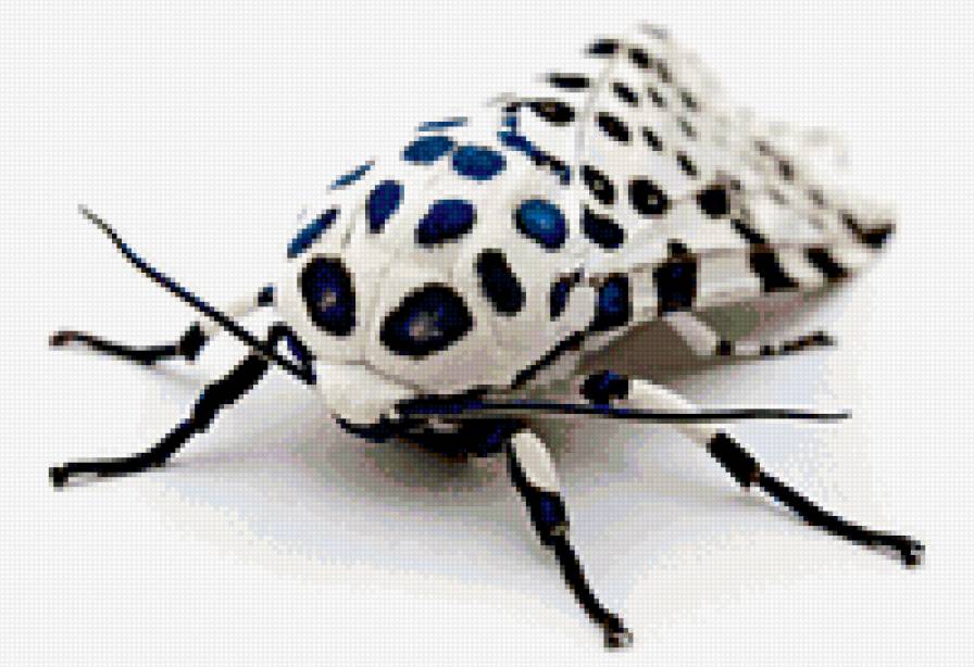 ,f,jxrf - предпросмотр