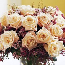 Схема вышивки «розы2»