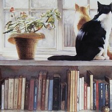 Схема вышивки «Кошки.Стив Хэнкс»