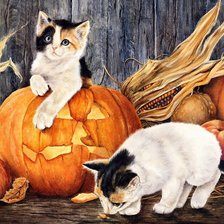 Схема вышивки «Котята.Стив Хэнкс»