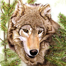 Схема вышивки «№582011»