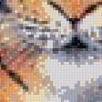 Предпросмотр схемы вышивки «тигр» (№582025)