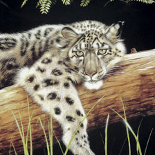 Схема вышивки «картина»