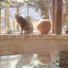 Схема вышивки «Кошка.Стив Хэнкс»