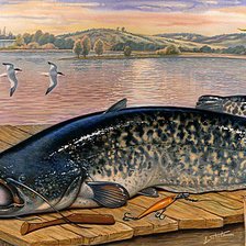 Схема вышивки «Сом»