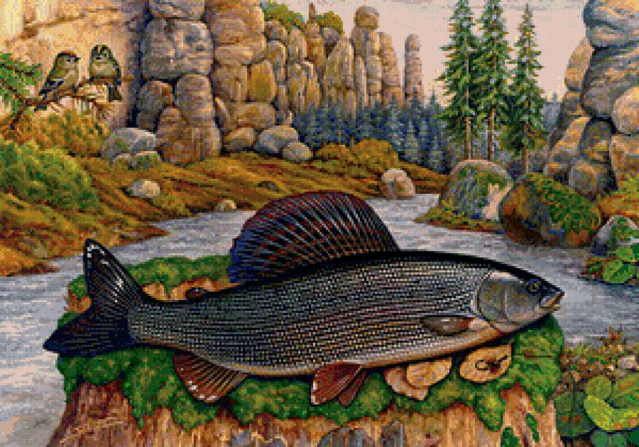 Лосось - река, пейзаж, рыба, рыбалка - предпросмотр