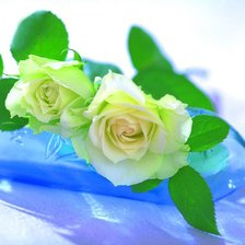 Схема вышивки «Розы в бутылке»