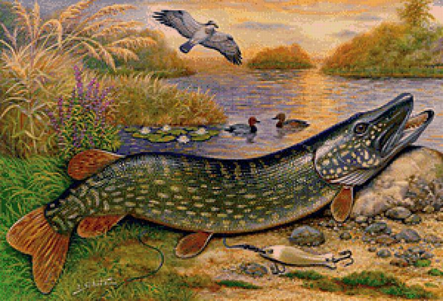 Щука - река, пейзаж, рыба, рыбалка - предпросмотр