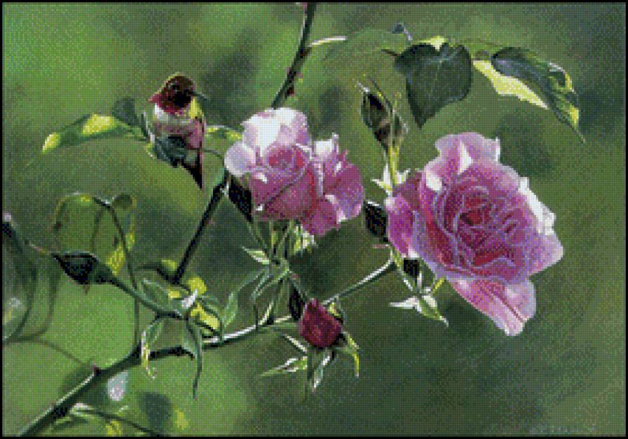 Terry Isaak - roze w malarstwie - предпросмотр