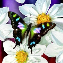 Схема вышивки «Тропическая бабочка»